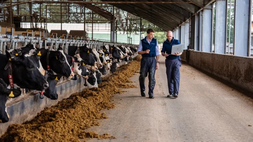 Vet Vision AI team members walking through a dairy shed